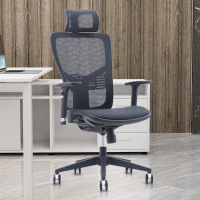 臻远 ZY-BGY-72 人体工学椅电脑椅会议椅转椅
