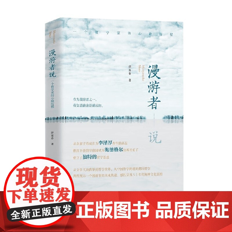 漫游者说 一个哲学家的心路历程 彭富春 著 历史