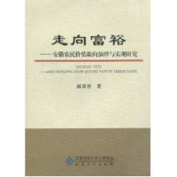 醉染图书走向富裕:安徽农民价值取向演绎与实现研究9787811108194