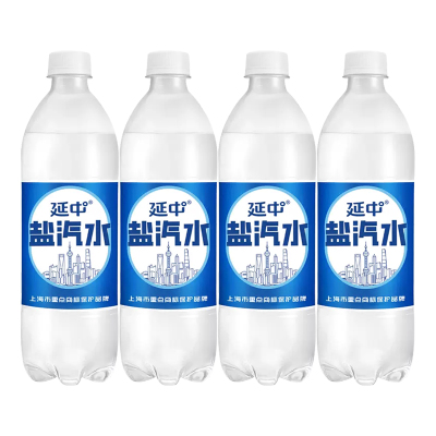 延中 盐汽水600ml*4瓶装 碳酸饮料饮品咸味汽水