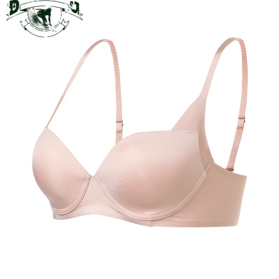 00501s内衣女士无钢圈3/4杯一片式大胸显小胸罩美背文胸女 费琳胸罩