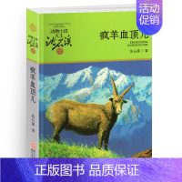 疯羊血顶儿 [正版]古剑军犬野鸽沈石溪小学四年级五年级全集全套书浙江少年儿童出版社非注音版完整版动物小说大王品藏书系课外