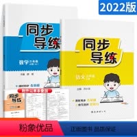 2本:人教语文+数学 五年级上 [正版]2022版同步导练三四五六年级上册语文 人教版西师版 小学3456年级上册语文课