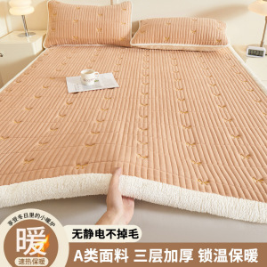 宝宝绒牛奶绒床垫软垫家用垫被褥子铺底加厚毛毯垫子秋冬保暖垫褥