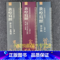 共3本 金+兜沙+太极真人问功德行业经辨亡论王勃集 [正版]敦煌写经妙法莲花经兜沙经大般涅槃经 近距离临摹字帖练字卡原大