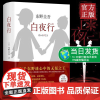 正版白夜行精装 东野圭吾作品推理小说集南海出版社解忧杂货店恶