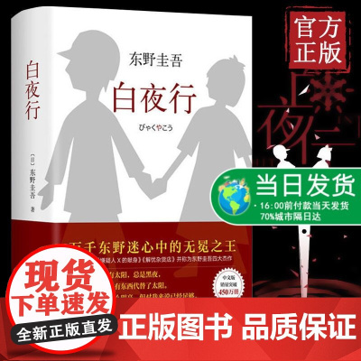 正版白夜行精装 东野圭吾作品推理小说集南海出版社解忧杂货店恶