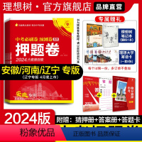 套装:语数英物化历道全科7本[河南专用] 九年级/初中三年级 [正版]理想树2024版中考押题卷数学语文英语物理化学历史