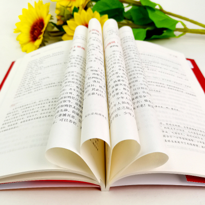 红色经典阅读丛书:爱国诗文精选