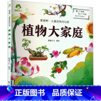 植物大家庭 [正版]新视野·儿童百科问与答 植物大家庭 爱德少儿 绘 科普百科少儿 书店图书籍 河南美术出版社
