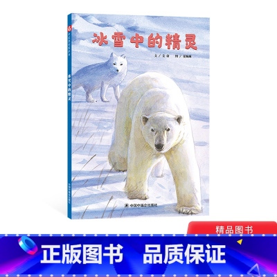 单本全册 [正版]冰雪中的精灵精装绘本图画书讲述北极动物的科学图画书通过唯美的画面展现了广阔的北极世界3岁以上中国中福会