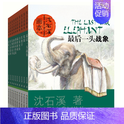 [正版]沈石溪画本共10册z后的大象红奶羊/白象家族/藏獒渡魂/情豹布哈衣/血染的王冠/棕熊的故事/牝狼动物小说儿童课外