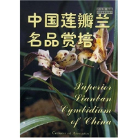 正版新书]中国莲瓣兰名品赏培许东生9787503833106