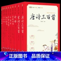 蜗牛国学馆·有声版[全10册] [正版]完整无删减版蜗牛国学馆有声版小学生一二三年级千字文千家诗论语笠翁对韵弟子规三字经