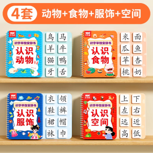 识字书幼儿认字早教安静书儿童启蒙幼儿园认字全套宝宝识字卡片