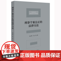 正版 刑事个案公正的法律方法 周少华 倪震 著 法律出版社