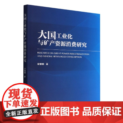 大国工业化与矿产资源消费研究