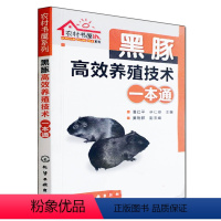 [正版]黑豚高效养殖技术一本通黑豚鼠养殖技术与疾病防治技术大全书荷兰猪饲养技术宝典黑豚饲养饲料配置与建厂安全饲养方法黑