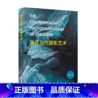 [正版]浙江当代摄影艺术 辛宏安 从浙江这个重要窗口认识和理解中国当代摄影 摄影作品分析