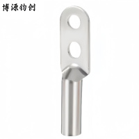 博源钧创 双孔铜鼻子 镀锡双孔DTS-240 个