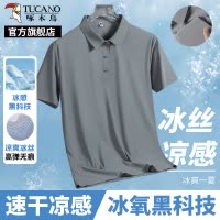 啄木鸟官方爸爸短袖t恤男士中年冰丝polo衫夏季薄款2025新款上衣K