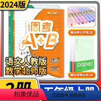 语文数学 小学五年级 [正版]2023版调考A+B五年级上册语文人教版数学北师大版2本 成都期末调考a十b小学生同步训练
