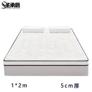 圣承启 家用床垫 1*2m张