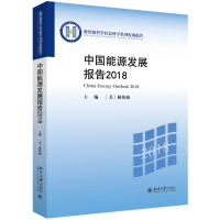音像2018中国能源发展报告(美)林伯强