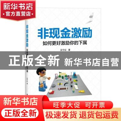 正版 非现金激励——如何更好激励你的下属 汪宁红 电子工业出版