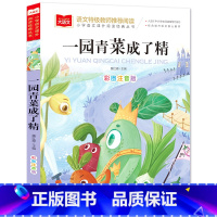 一只青菜成了精[任选4本19.8元] [正版]成语接龙书小学生版 一年级二年级注音版中华成语故事大全注音版儿童读物四字成