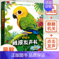 [触摸发声]好玩的触摸发声书 [正版]宝宝的第一本触摸书婴儿书本早教一岁宝宝益智玩具1岁半撕不烂立体书儿童新年礼物启蒙认
