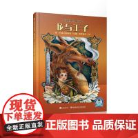 龙与王子 魔幻经典绘本系列