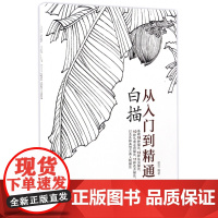 白描从入门到精通 国画入门教程书籍 初学者线描画册自学零基础 白描临摹画谱 花鸟虫鱼写意技法水墨画工笔画入门教材手绘美术