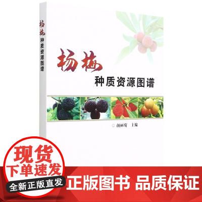 杨梅种质资源图谱 颜丽菊 编 9787511655400 中国农业科学技术出版社