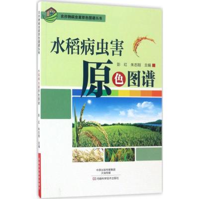 [出版社]水稻病虫害原色图谱 河南科技出版社