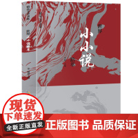 精品文学书系 世界小小说拾萃 三年级四年级课外阅读赏析五年级六年级6-15岁少儿趣味故事读物书中小学生语文课外阅读书