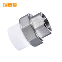 瑞吉君 PPR内丝活接 50mm 个