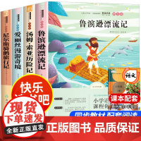 快乐读书吧六年级下册必读的课外书鲁滨逊漂流记骑鹅旅行记爱丽漫游奇境奇迹仙境汤姆索亚历险记鲁宾孙漂游记6上老师人教版