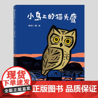 小岛上的猫头鹰(正版硬壳精装)何华仁,鸟类科普百科趣味儿童绘本3三-4-5到6岁以上幼儿园大中小班孩子早教阅读睡前故事图