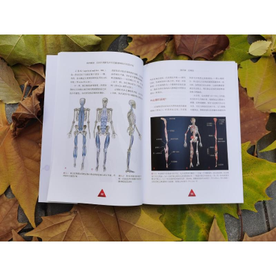 [M]身体解读 如何利用解剖列车肌筋膜线进行视觉评估-9787571425975