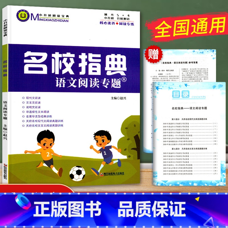 [正版]中小学名校阅读宝典名校指典语文阅读专题 小学生四五六年级小升初语文专项训练书现代文文言文阅读理解答题技巧方法指
