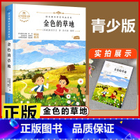 金色的草地 [正版]宝葫芦的秘密 三年级四年级必读课外书老师小学生阅读书籍张天翼原著宝葫芦娃里的故事3-4年级上下册人教