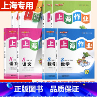 语数英物[4本] 八年级下 [正版]2024钟书金牌上海作业八年级下语文数学英语N版物理下册第二学期上海教辅同步辅导训练