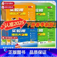 语文+数学+英语(PEP人教版)试卷 三年级上 [正版]2025春实验班提优大考卷一二三四五六年级上下册语文数学英语人教