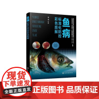 鱼病标准化防控彩色图解 袁圣//赵哲//章晋勇//方苹//赵彦华等 著 畜牧/养殖专业科技 正版图书籍 化学工业出版社