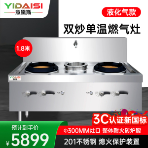 意意黛斯 商用燃气大锅灶 猛火灶商用单位学校食堂电磁猛火大炒锅饭店酒店 双头单尾 YDS-YXCSW18Y液化气
