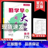 2023大培优 七下数学 初中通用 [正版]2023版 勤学早大培优七八九年级数学物理上下册 名校压轴题 初中789年级