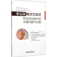 [M]多层次模式方法论-9787509629390