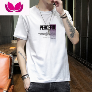 七斓短袖t恤男士夏季薄款2023新款圆领上衣印花打底衫半袖体恤tee