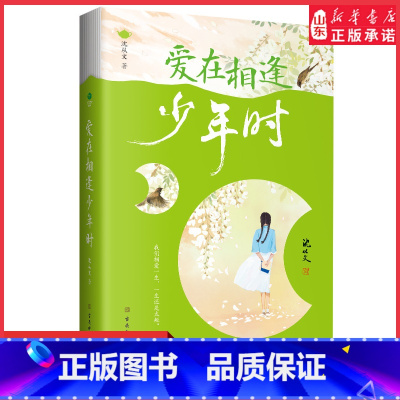 [正版]沈从文散文精选爱在相逢少年时全新彩插双封裸脊精选版世界这么大还好遇见你献给每一个为爱奋不顾身也终将被爱治愈的你
